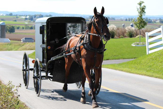 Amish Horse and Buggy in Lancaster, Pennsylvania, Pennsylvania Dutch Country